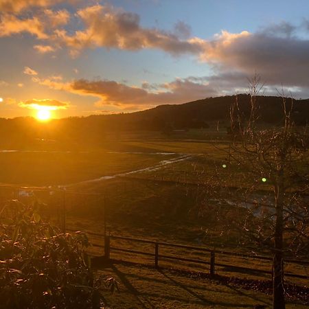 Отель Mole Creek Hideaway Экстерьер фото