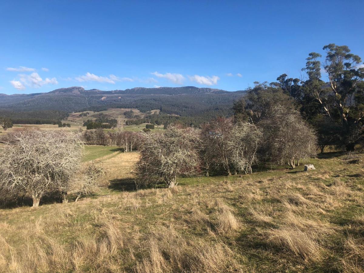 Отель Mole Creek Hideaway Экстерьер фото