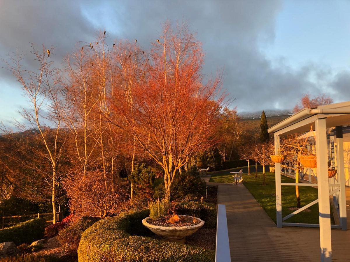 Отель Mole Creek Hideaway Экстерьер фото