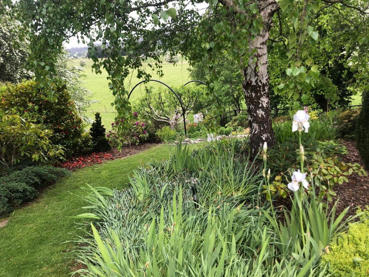 Отель Mole Creek Hideaway Экстерьер фото