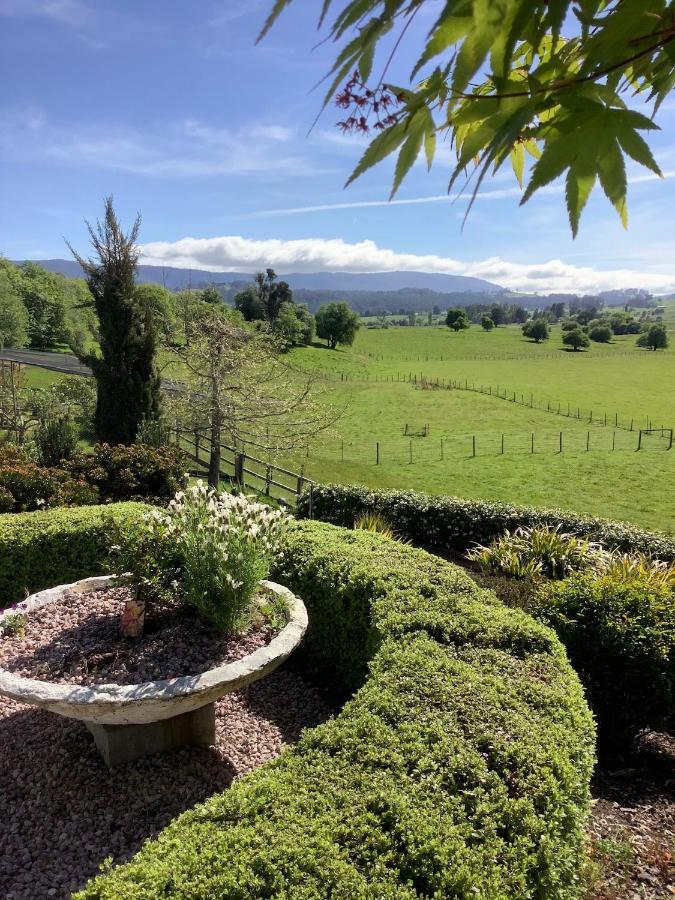 Отель Mole Creek Hideaway Экстерьер фото
