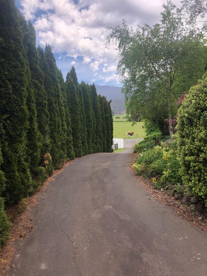 Отель Mole Creek Hideaway Экстерьер фото