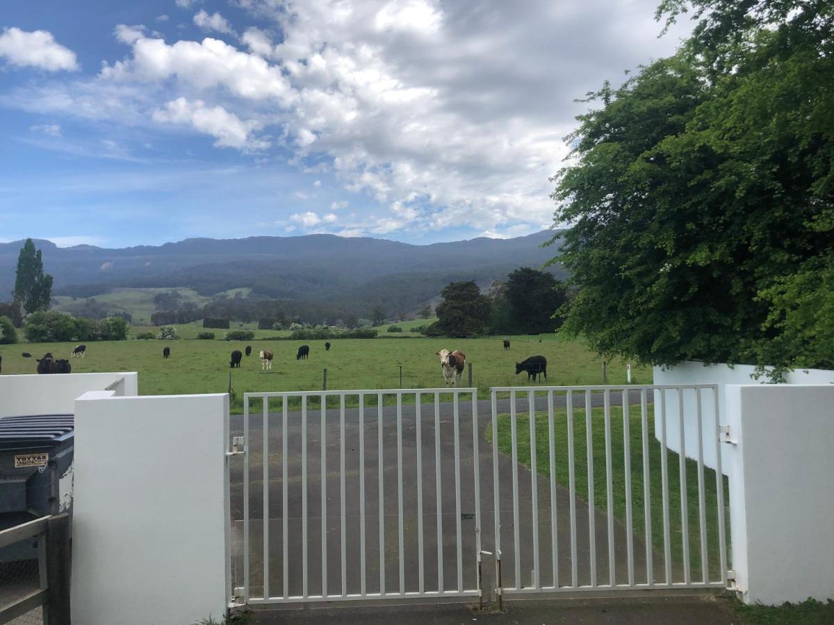 Отель Mole Creek Hideaway Экстерьер фото