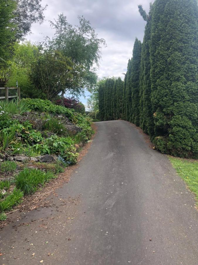 Отель Mole Creek Hideaway Экстерьер фото